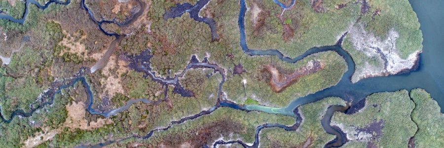 Cartographie semi-automatique d’un marais arrière littoral – Abbaye de Beauport – Paimpol (22)