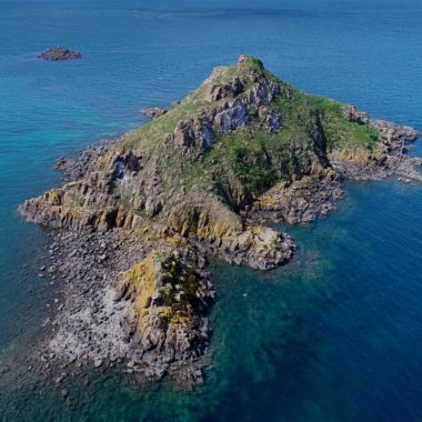 Suivi diachronique de nidification d’oiseaux marins – îlot du Verdelet (22)