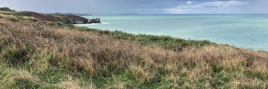 Etude de fréquentation du site E.N.S de la pointe du Grouin – Cancale (35)