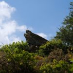 Etude de fréquentation du site E.N.S du Vallon de la Chambre au Loup – Iffendic (35)