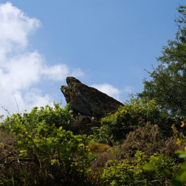 Etude de fréquentation du site E.N.S du Vallon de la Chambre au Loup – Iffendic (35)