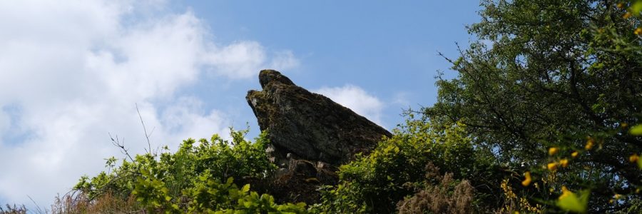 Etude de fréquentation du site E.N.S du Vallon de la Chambre au Loup – Iffendic (35)