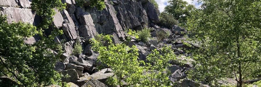 Etude de fréquentation sur le site ENS de la Fosse Arthour